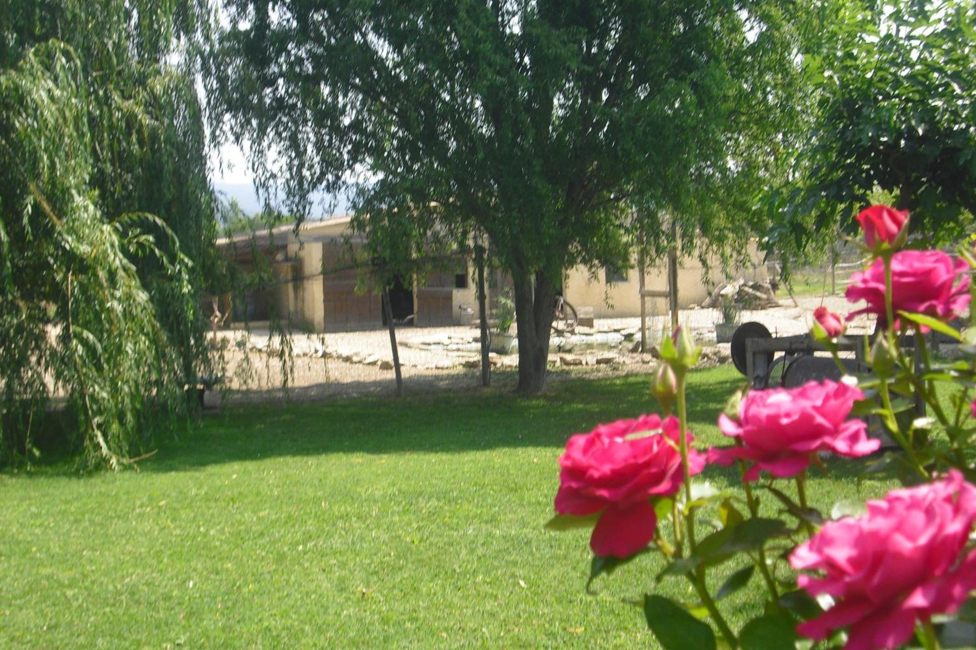 Lou Mas Li Pitchoun "La Melonniere" Apartment Gordes Exterior foto
